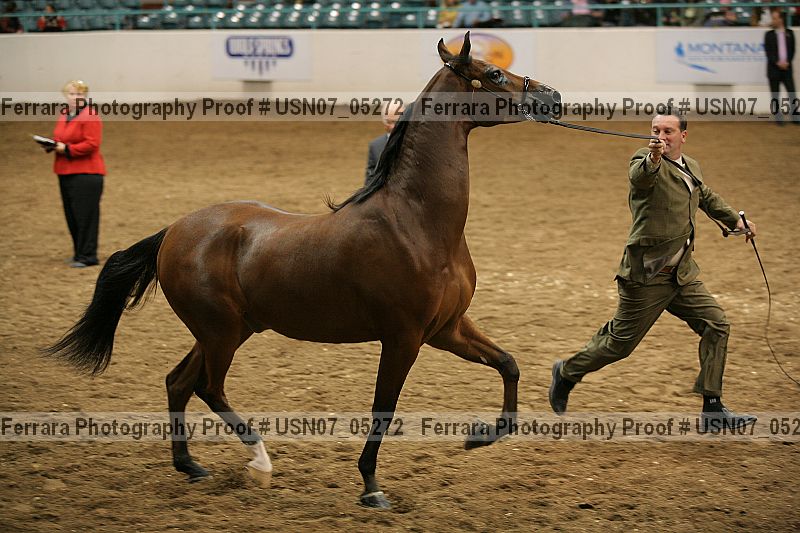 Proof usn07_05272