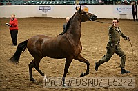 usn07_05272 proof