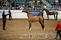 usn07_05275 proof