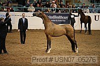 usn07_05276 proof