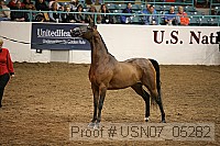 usn07_05282 proof