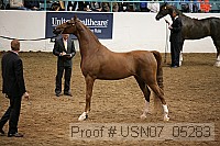 usn07_05283 proof