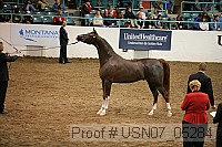 usn07_05284 proof