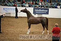 usn07_05285 proof