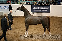 usn07_05286 proof
