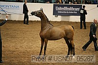 usn07_05287 proof