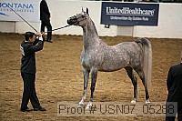 usn07_05288 proof