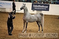 usn07_05290 proof