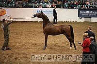 usn07_05295 proof