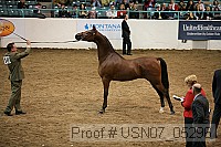 usn07_05296 proof