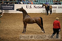 usn07_05297 proof