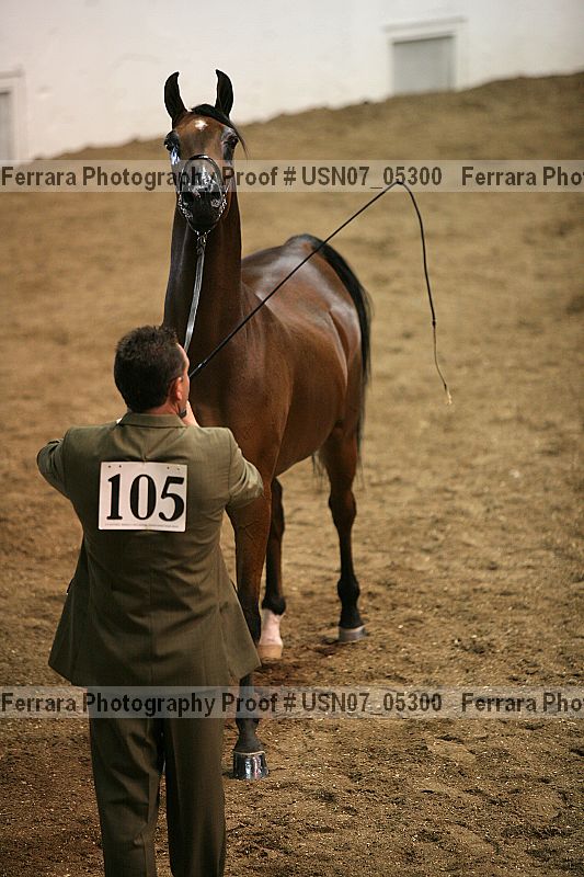 Proof usn07_05300