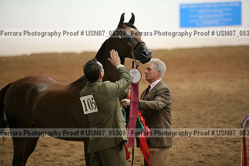 Proof usn07_05309