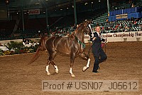 usn07_j05612 proof