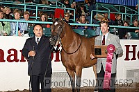 usn07_04562 proof