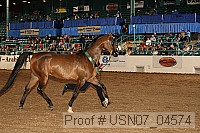 usn07_04574 proof