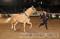 usn07_04575 proof
