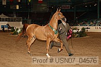 usn07_04576 proof