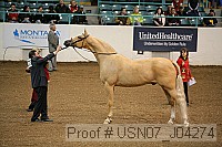 usn07_j04274 proof