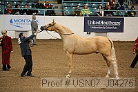 usn07_j04275 proof
