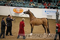usn07_j04286 proof