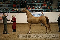 usn07_j04288 proof