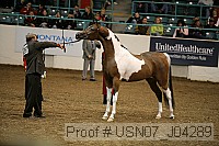 usn07_j04289 proof