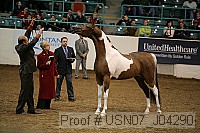 usn07_j04290 proof