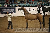 usn07_j04294 proof