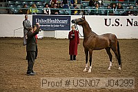 usn07_j04299 proof