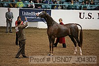 usn07_j04302 proof
