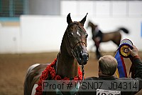 usn07_j04314 proof