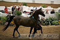 usn07_j04315 proof