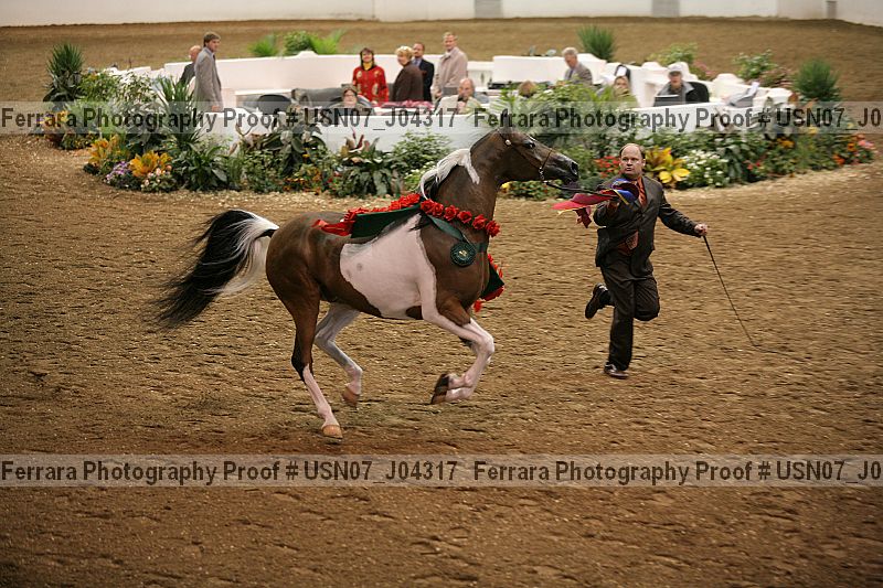 Proof usn07_j04317