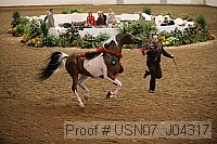usn07_j04317 proof