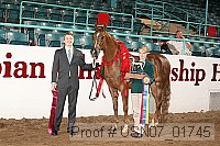 usn07_01745 proof