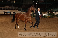 usn07_01750 proof