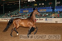 usn07_01753 proof