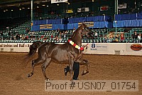 usn07_01754 proof