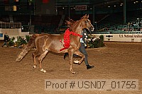 usn07_01755 proof