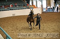 usn07_j01864 proof