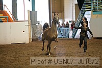 usn07_j01872 proof