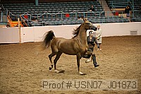 usn07_j01873 proof