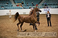 usn07_j01874 proof