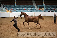 usn07_j01875 proof