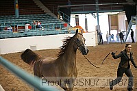 usn07_j01876 proof