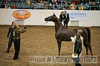 usn07_j01877 proof