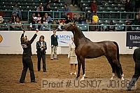 usn07_j01884 proof