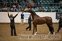 usn07_j01886 proof