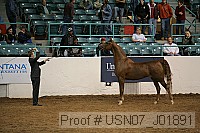 usn07_j01891 proof